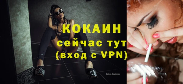 крисы Краснослободск