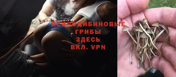 крисы Краснослободск