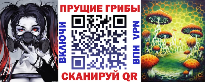 Купить закладки  Волоколамск  Псилоцибиновые грибы Cubensis 